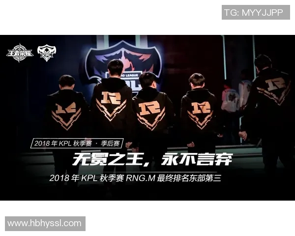 探讨RNG在王者荣耀中的团队协作策略与战术配合分析