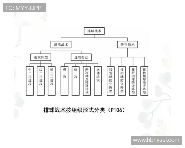 深入分析成都排球队控制打法的战术特点与应用策略